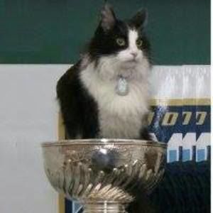 Meet your Posher, Pandy